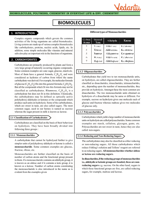 Biomolecules Chart