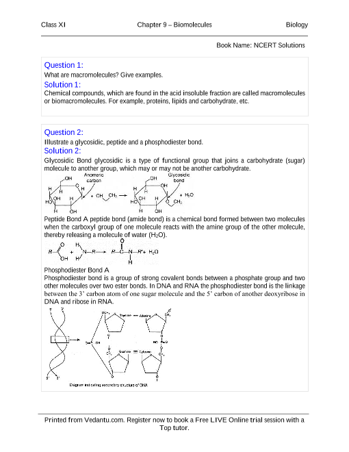 ncert-books-free-download-for-class-11-biology-chapter-9-biomolecules