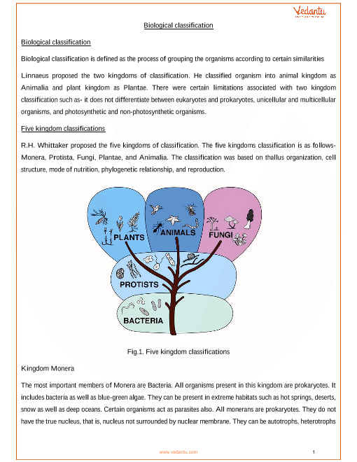 Biological Classification Chart