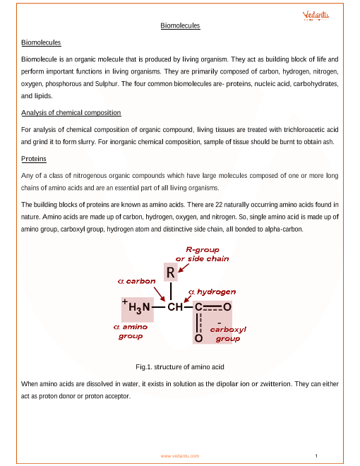 Biomolecules Chart