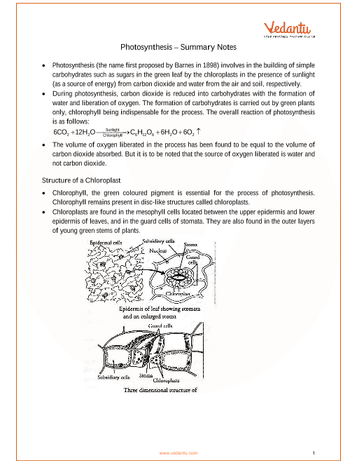 ICSE Class 10 Biology Chapter 6 - Photosynthesis Revision Notes