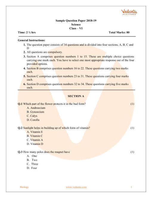 6th class essay 2 question paper hindi