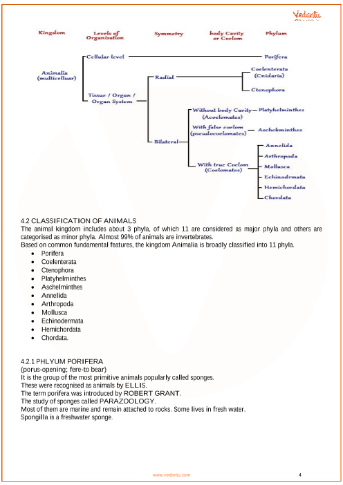 Animal Kingdom Classification Chart Pdf