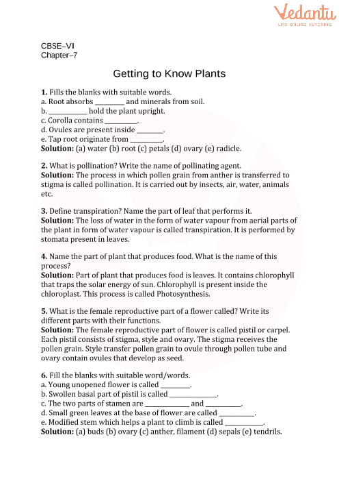 7. Getting to know plants part-1