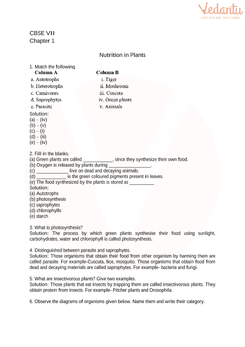 CBSE Class 7 Science Nutrition in Plants Worksheets with Answers - Chapter 1