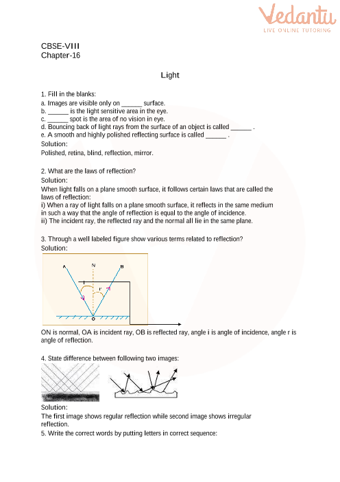 case study based questions on light class 8