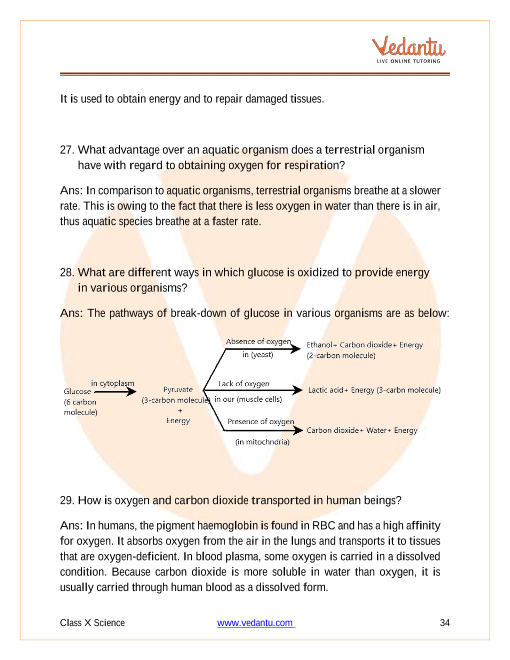 CBSE Class 10 Science Chapter 6 Life Processes Important Questions 2022-23