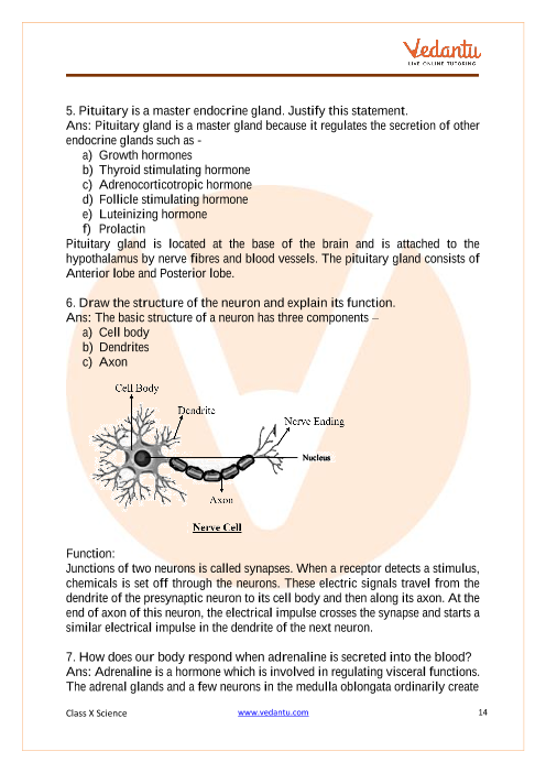 CBSE CBSE Class 10 Science Chapter 7 Control and Coordination Important  Questions 2022-23