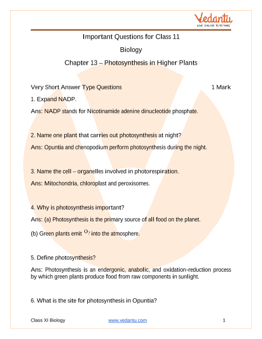 CBSE Class 11 Biology Chapter 13 - Photosynthesis in Higher Plants  Important Questions 2022-23