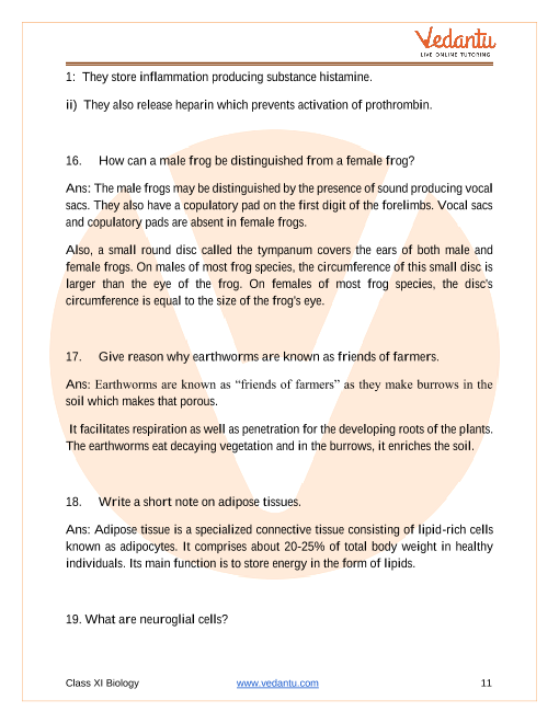 CBSE Class 11 Biology Chapter 7 Structural Organisation in Animals  Important Questions 2022-23