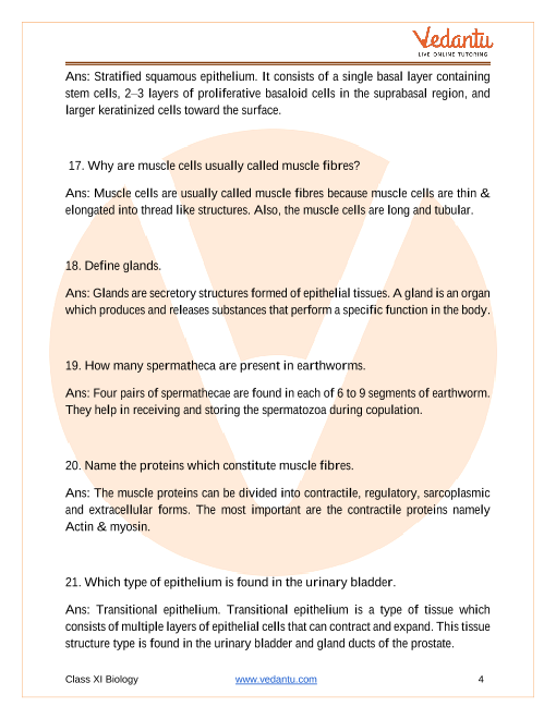 CBSE Class 11 Biology Chapter 7 Structural Organisation in Animals  Important Questions 2022-23