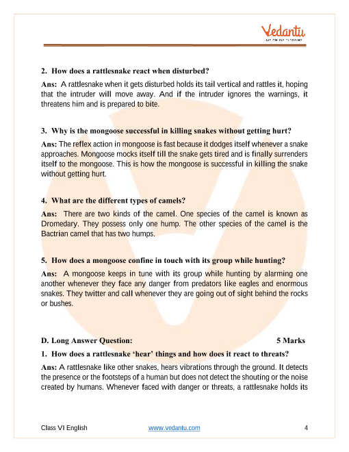 CBSE Class 6 English Honeysuckle Chapter 9 Desert Animals Important  Questions 2022-23