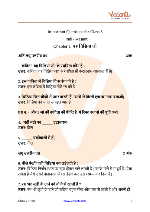 important questions for cbse class 6 hindi vasant chapter