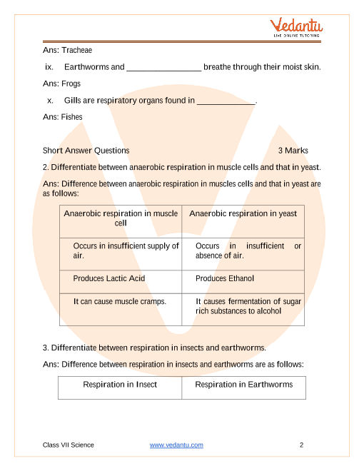 Important Questions for CBSE Class 7 Science Chapter 6|Physical and Chemical  Changes