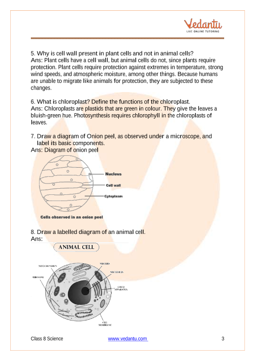 Important Questions for CBSE Class 8 Science Chapter-8 Cell - Structure and  Functions