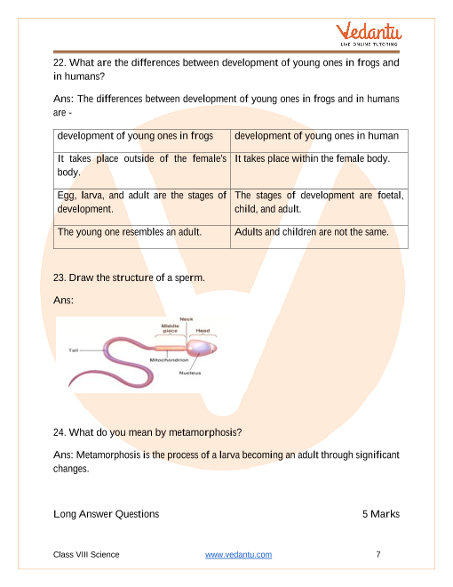 Important Questions for CBSE Class 8 Science Chapter 9