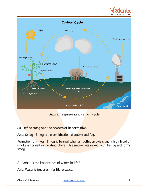 Carbon Cycle Grade 9