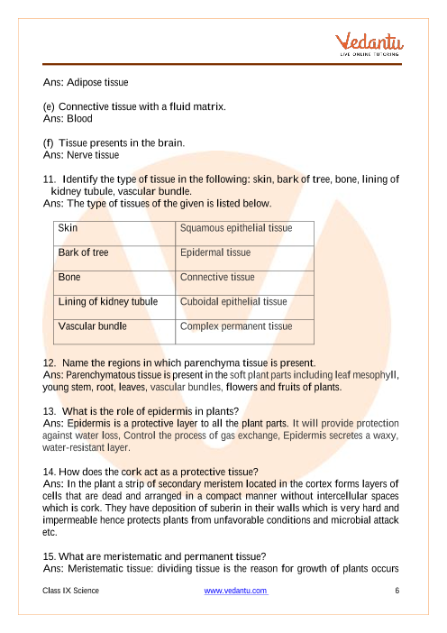 CBSE Class 9 Science Chapter 6 - Tissues Important Questions 2022-23