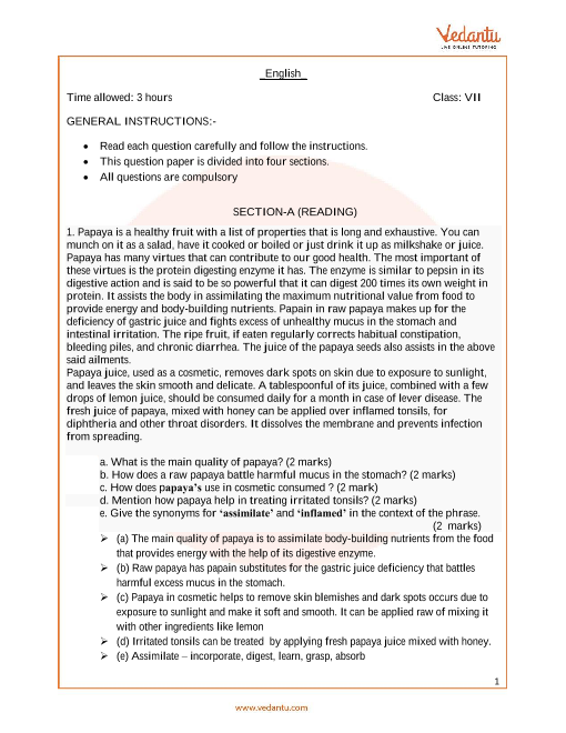 essay 1 english exam paper 7th class