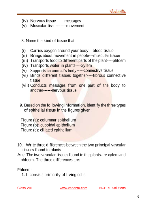Selina Concise Biology Class 7 ICSE Solutions for Chapter 1 - Plant and Animal  Tissues