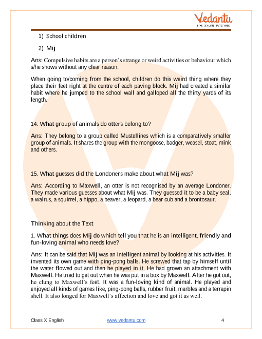 NCERT Solutions for Class 10 English First Flight Chapter 8 - Mijbil the  Otter