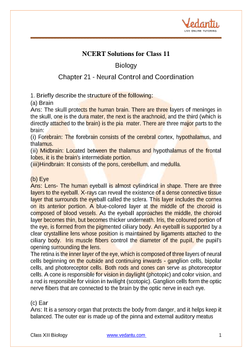 NCERT Solutions for Class 11 Biology Chapter 21 Neural Control and Coordination - Free PDF