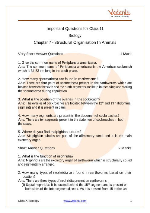 NCERT Solutions Class 11 Biology Chapter 7 Structural Organisation in  Animals