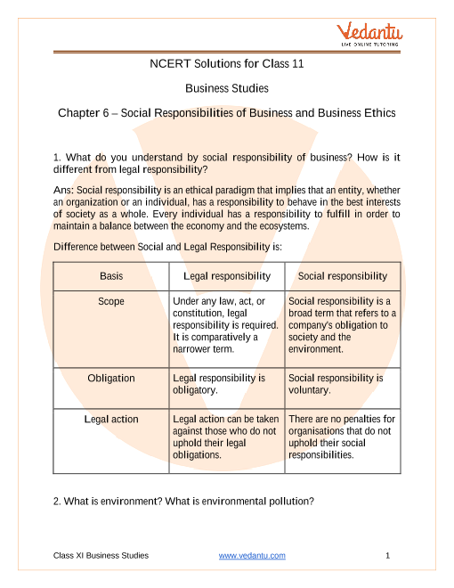 case study of social responsibility of business class 11