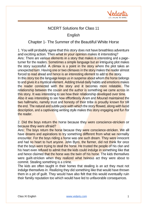 The Summer of the Beautiful White Horse Summary Class 11 English  Snapshots