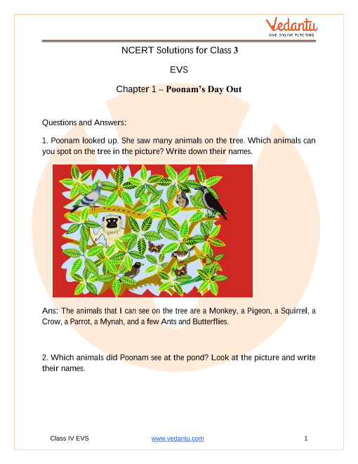 Ncert Solutions For Class 3 Evs Chapter 1 Poonam S Day Out Free Pdf