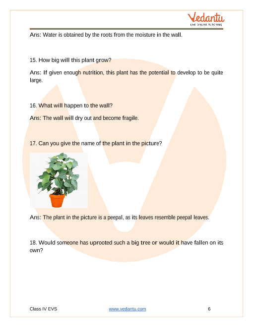Ncert Solutions For Class 4 Evs Chapter 19 Abdul In The Garden Free Pdf