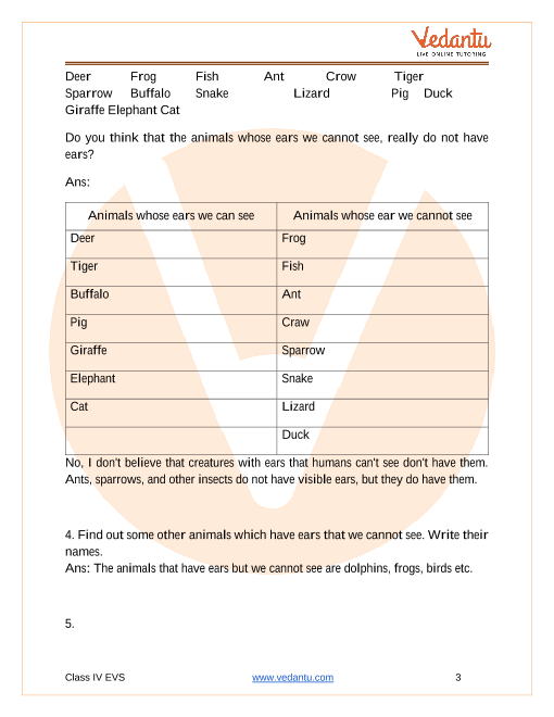 NCERT Solutions for Class 4 EVS Chapter 2 Ear to Ear