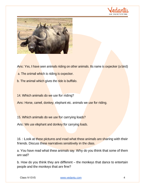 NCERT Solutions for Class 4 EVS Chapter 3 A Day With Nandu
