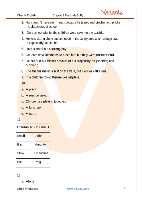 The Little Bully Class 5 Notes CBSE English Chapter 8 [PDF]