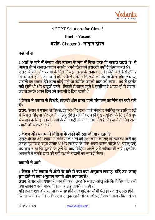 NCERT Solutions for Class 6 Hindi Vasant Chapter 3 Naadaan Dost