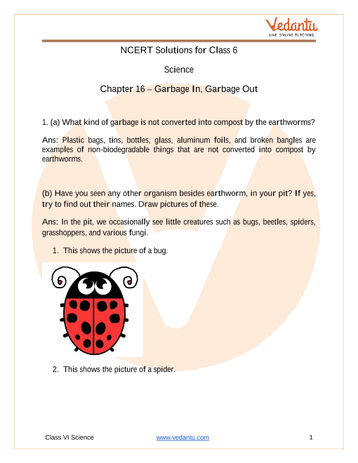 Class 6 - Science - Garbage In, Garbage Out part-1