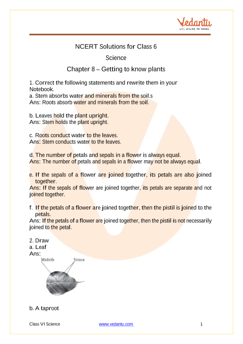NCERT Solutions for Class 6 Science Chapter 7 Getting to Know Plants part-1