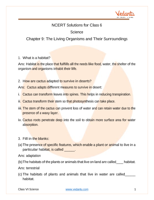 assignment of class 6 science