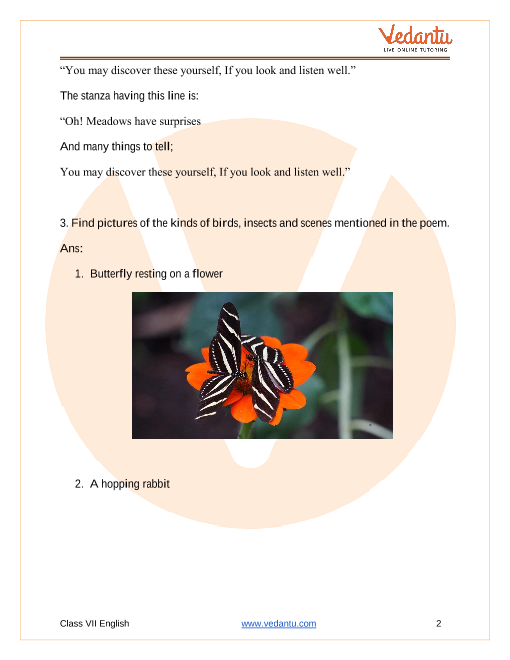 NCERT Solutions for Class 7 English Honeycomb Chapter-8 Poem - Meadow  surprises