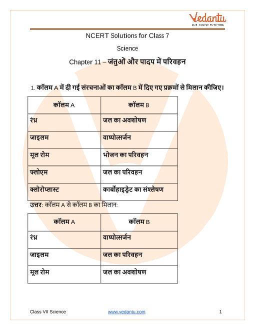 NCERT Solutions for Class 7 Science Chapter 11 Transportation in Animals  and Plants In Hindi