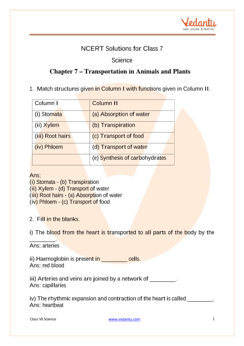 assignment for class 7 science