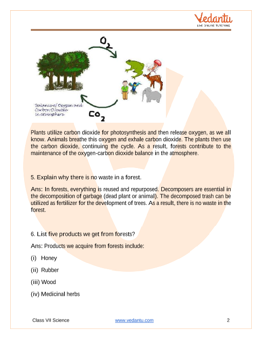 NCERT Solutions for Class 7 Science Chapter 17 - Forests: Our Lifeline