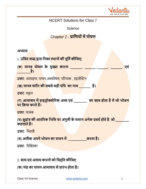 NCERT Solutions for Class 7 Science Chapter 2 Nutrition in Animals In Hindi
