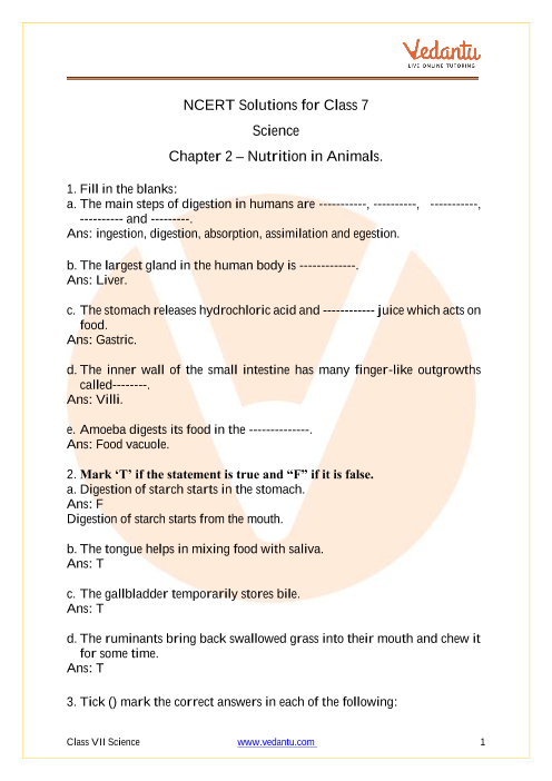 class 7 assignment 2023 science