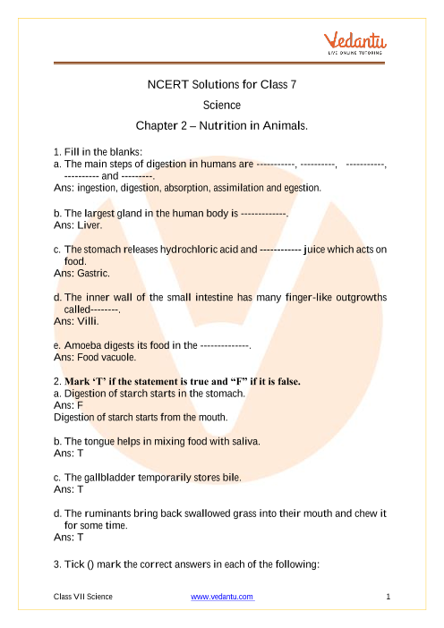 CBSE Class 7 Science NCERT Solutions Chapter 2 Nutrition in Animals