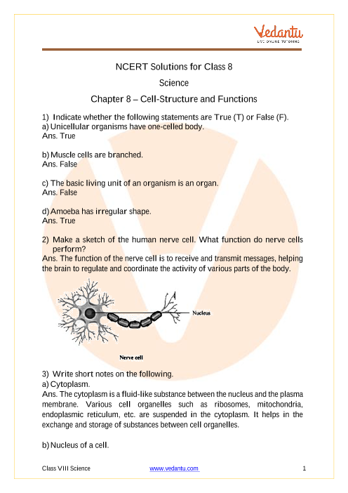 Class 8 - Science - Cell - Structure and Functions part-1