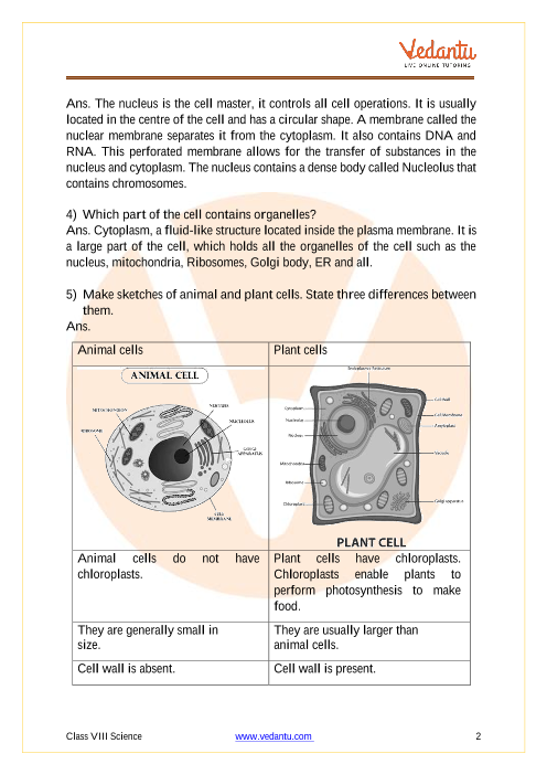 NCERT Solutions of Cell Structure and Functions of Class 8 science | Free  PDF Download