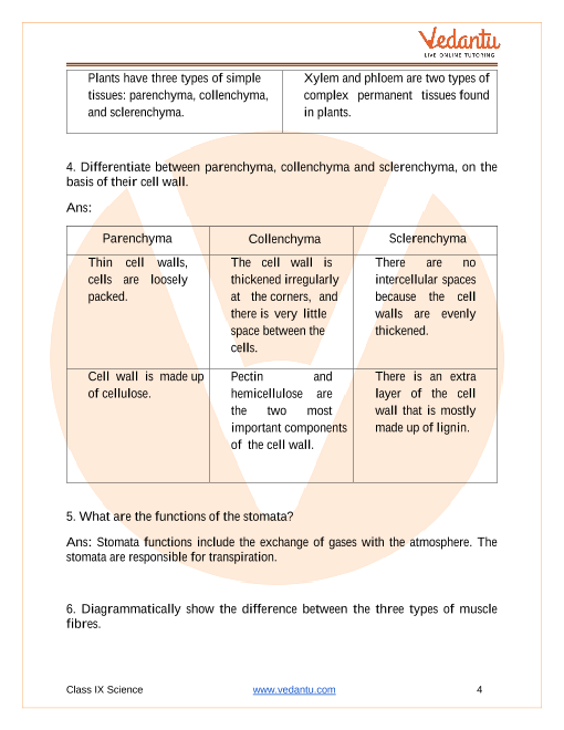 NCERT Solutions of Chapter 6 - Tissues (CBSE Class 9 Science)