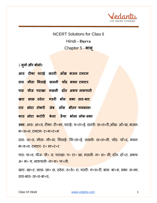 NCERT Solutions for Class 6 Hindi Durva Chapter 5 Bhaaloo part-1