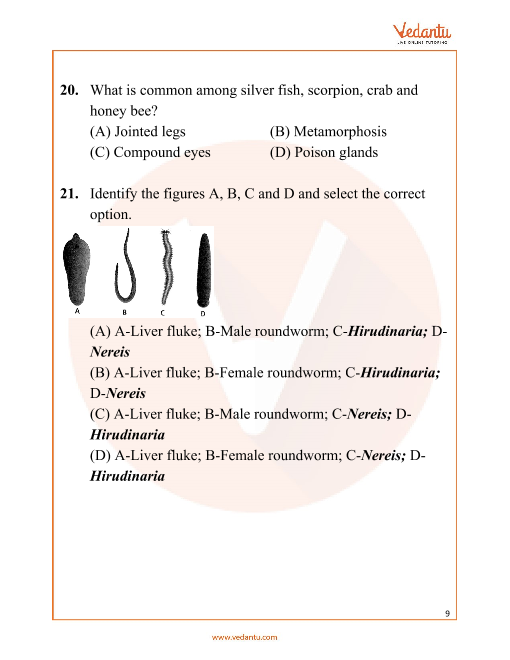 NEET Important Questions for Biology Chapter - Animal Kingdom